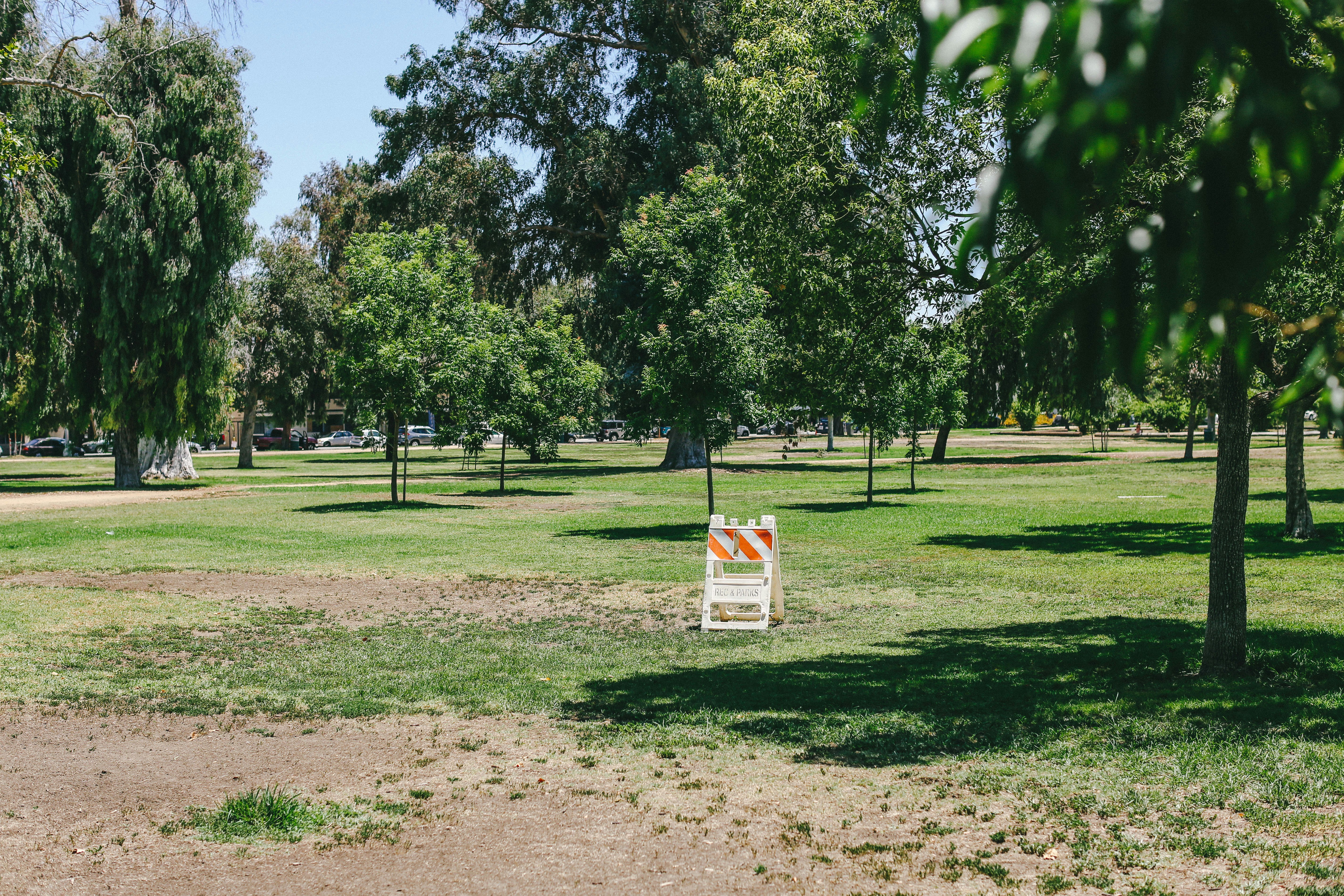 green grass field with trees during daytime